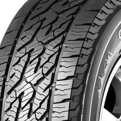 Competus H/P 2 225/50 R18 99Y  Sommerreifen