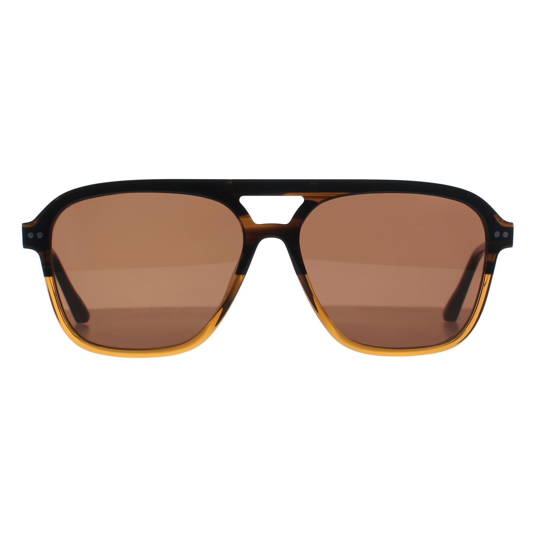 Ted Baker Aviator Heren Bruin Hoorn Gradiënt Bruin TB8259