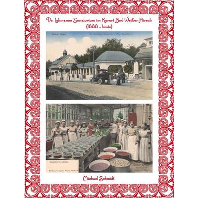 Dr. Lahmanns Sanatorium im Kurort Bad Weißer Hirsch (1888 - heute), Sonstige von Michael Schmidt, Sonnenblumen-Verlag Dresden, 978-3-9815070-7-2