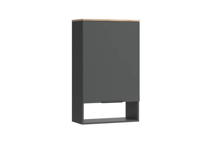 Vicco Hängeschrank Wido Anthrazit mit Tür, Holzwerkstoff, 4 Fächer, Rechteckig, 60x100x30 cm, Kleinmöbel, Kommoden