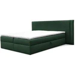BOXBETT Cedric In Magic Velvet