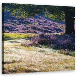 BILD auf Leinwand, Landschaften - Lila 40x40cm