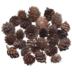 Lärchenzapfen, 80 g