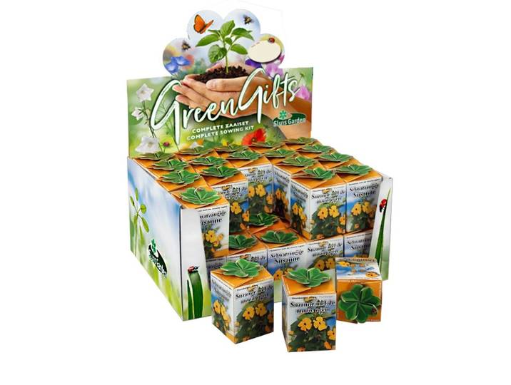 Greengift Suzanne met de mooie ogen in showdoos