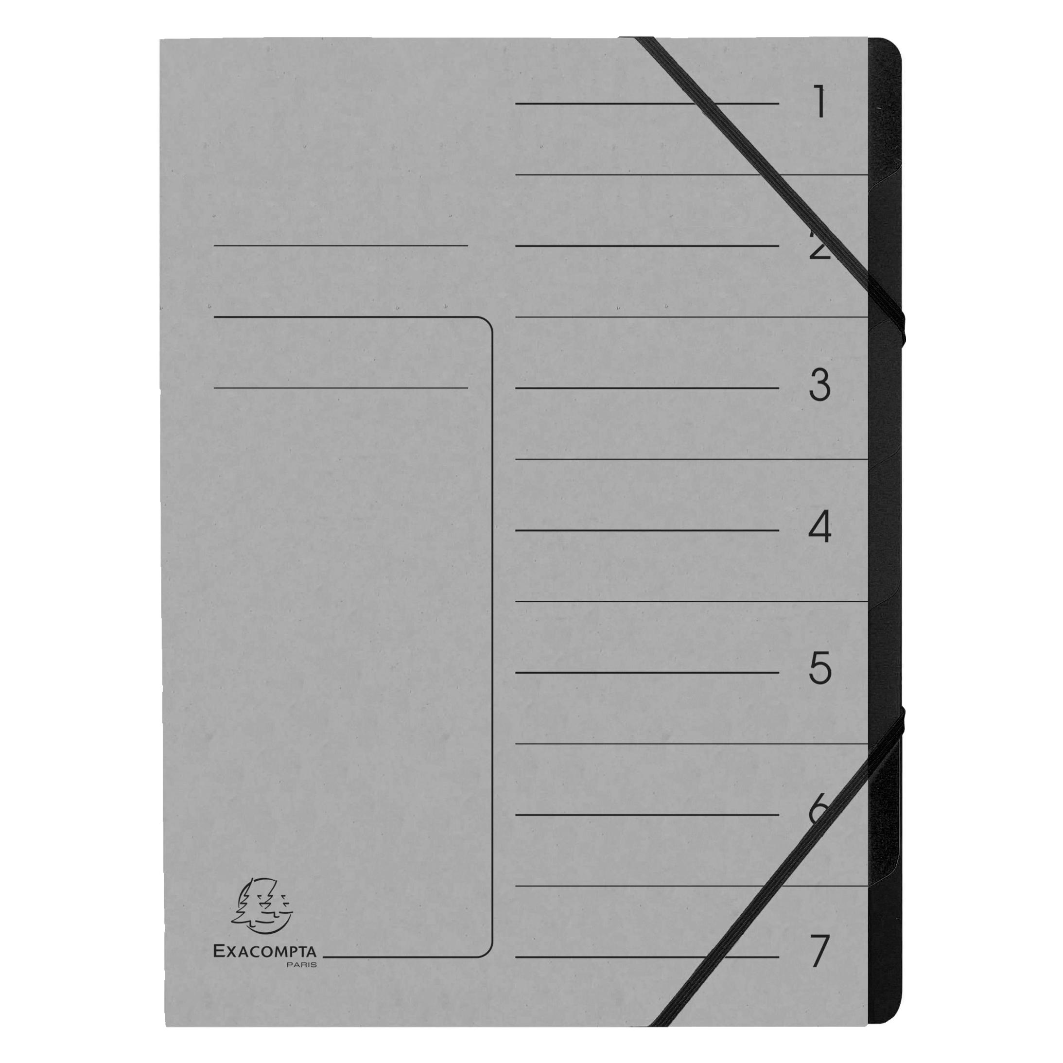 Exacompta Ordnungsmappen (A4, 1x) (540711E)