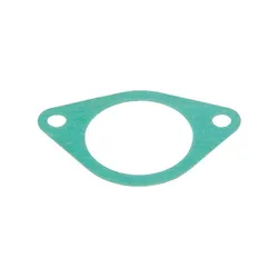 Dichtung für Einspeiserohr - 8718584642