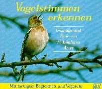 Andreas Schulze - Vogelstimmen erkennen. CD. . Gesänge und Rufe der 75 häufigsten Arten - Preis vom 09.10.2026 07:28:09 h