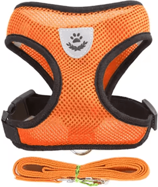 Inspire Essentials Adjustable Mesh Cat And Small Dog Harness With Leash l orange