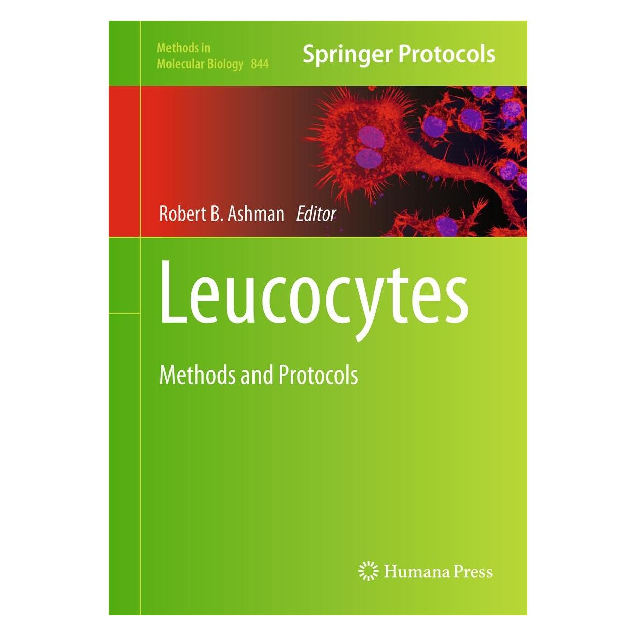 Humana Press Leucocytes (Englisch, Hardcover, Robert B. Ashman) (9781617795268)
