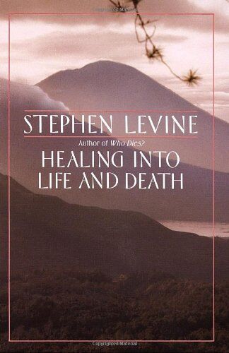 Stephen Levine - Healing into Life and Death - Preis vom 09.10.2026 07:28:09 h