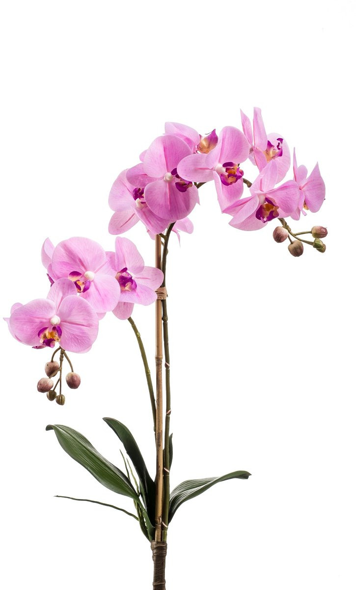 Emerald Kunstplant Phalaenopsis Orchidee Roze - 65 cm