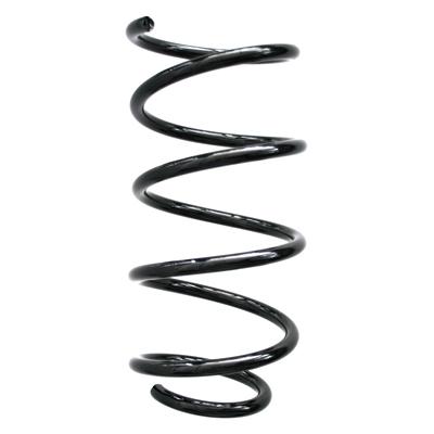 SPIDAN Fahrwerksfeder 86798 Hinterachse für BMW