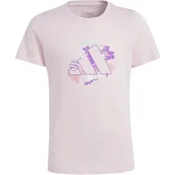 ADIDAS Kinder Shirt Training Graphic, Größe 164 in Grau Grau
