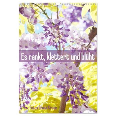 Es rankt, klettert und blüht (Wandkalender 2026 DIN A3 hoch), CALVENDO Monatskalender
