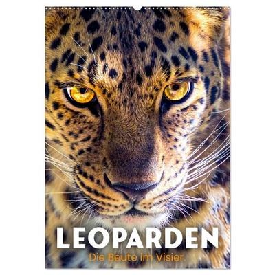 Leoparden - Die Beute im Visier. (Wandkalender 2027 DIN A2 hoch), CALVENDO Monatskalender