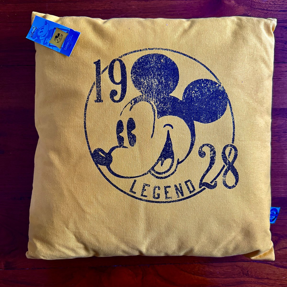 Disney Cushion Legend
