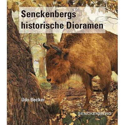 Senckenbergs historische Dioramen, Taschenbuch von Udo Becker, Schweizerbart'sche; E., 978-3-510-61417-2