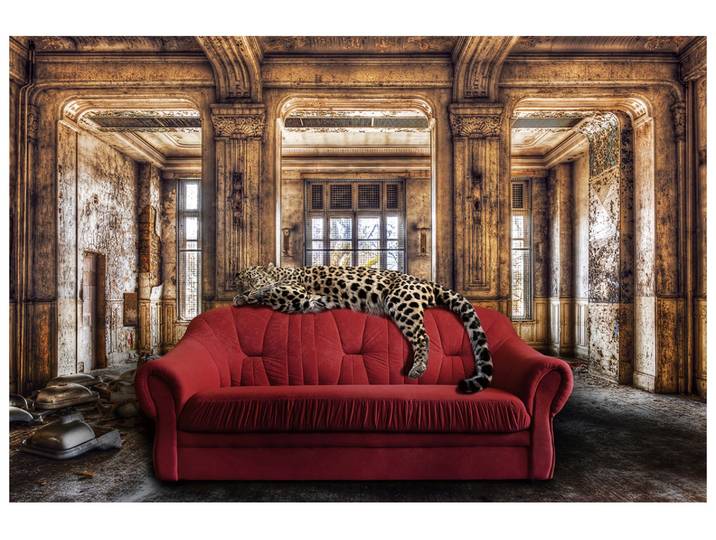 Glasbild Relaxing Leo image LAND