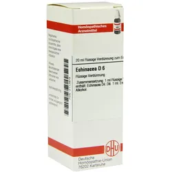 Echinacea HAB D 6 Dilution 20 ml