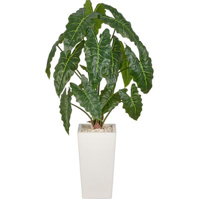 Kunstpflanze CREATIV GREEN "Alocasia wentii", grün, H:110cm, Obermaterial: 100% Kunststoff, Kunstpflanzen, Kunstpflanze, mit wunderschöner Blattgestaltung