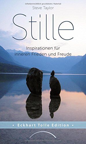 Steve Taylor - Stille: Inspirationen für inneren Frieden und Freude - Preis vom 11.10.2026 03:10:56 h