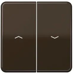 Jung Wippe Symbole br CD 595 P BR