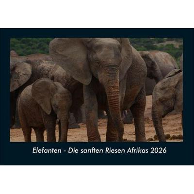 Elefanten - Die sanften Riesen Afrikas 2026 Fotokalender DIN A4