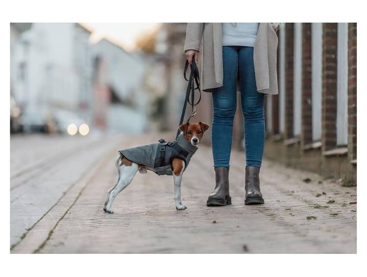 Tiermantel TRIXIE Pontis Reflect , grau, S, Rückenlängecm: 40cm, Polyester, Tierbekleidung, Tiermantel, Wattierter und vollreflektierender Hundemantel