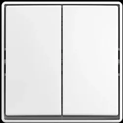 Busch-Jaeger Wippschalter AP 2601/5 J-524