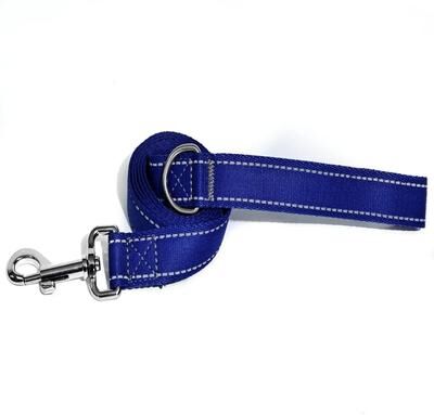 Inspire Select Reflective Nylon Dog Leash 5ft Heavy Duty Walking Lead With 360 Swivel Clasp, Comfort Handle & Night Safety Design blue s