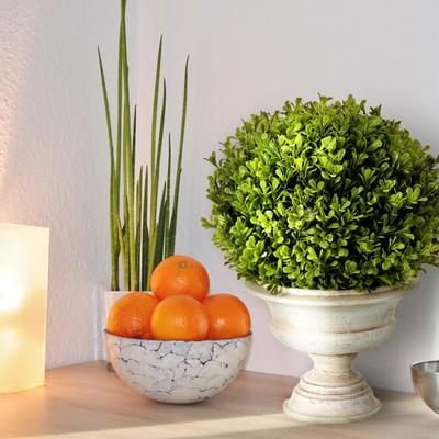 Regency International "Spring Boxwood Ball in Urn 16"" - Plastic and Cement"