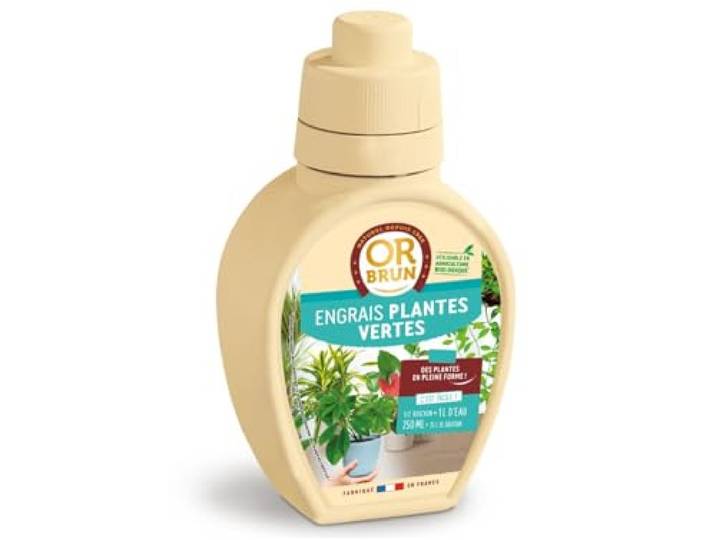 OR BRUN Engrais Plantes Vertes - Favorise La Croissance - 250ml Fortifie Les Plantes - Fabriqué En France - Utilisable En Agriculture Biologique - OBRECLPLINTER250