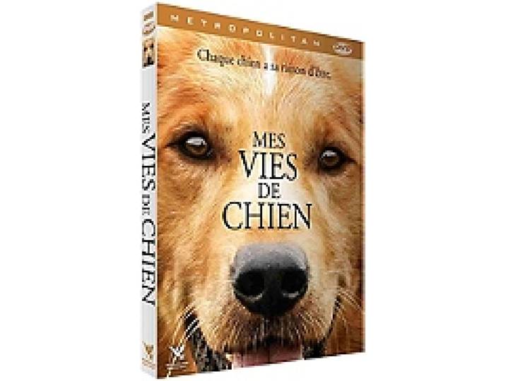 mes vies de chien
