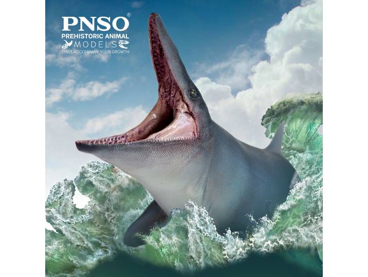 Modèles de dinosaures préhistoriques PNSO : 57Evan Le Tylosaurus