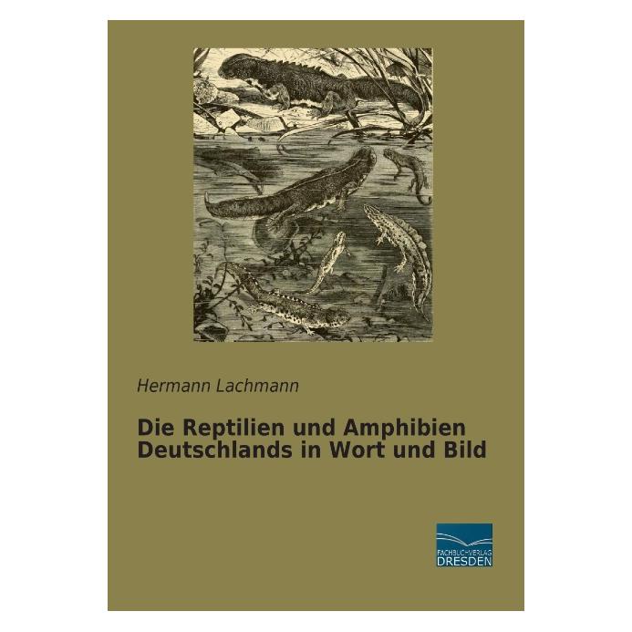 Fachbuchverlag Die Reptilien und Amphibien Deutschlands in Wort und Bild (Deutsch, Softcover, Hermann Lachmann) (9374316)