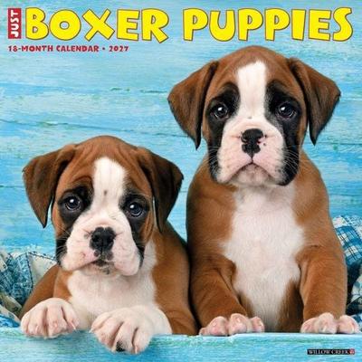 Boxer Puppies 2027 12 X 12 Wall Calendar
