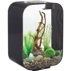 biOrb LIFE 15 LED schwarz (72048)