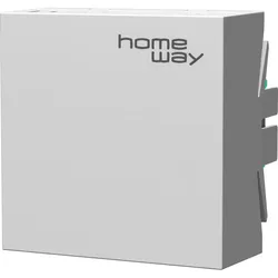 Homeway Access Point HW-INAP6TOVW