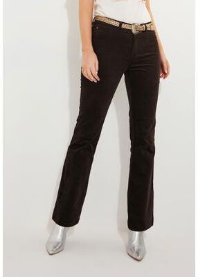 Plus Size Women's Moleskin Trouser by Joe Browns in Chocolate (Size 24 W)