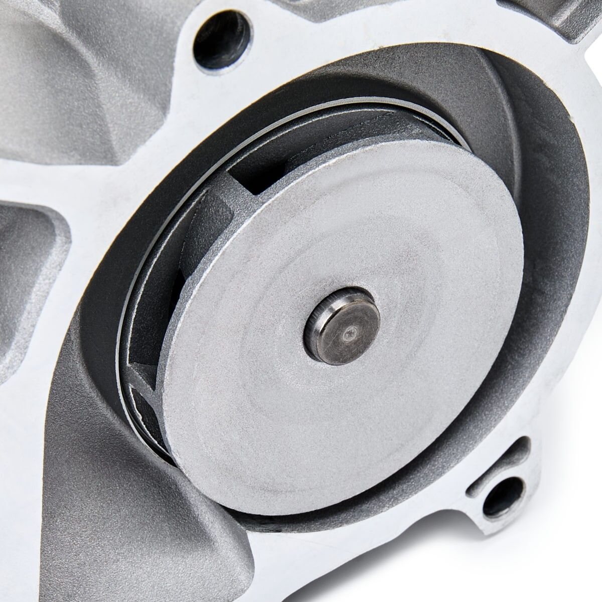 DAYCO DP365 Water pump