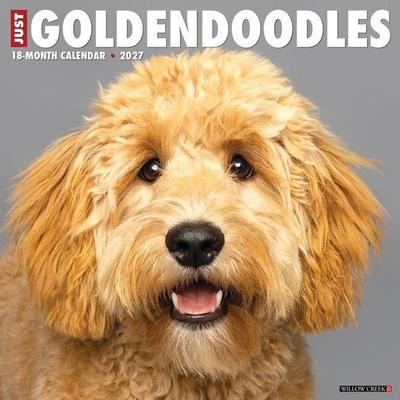 Goldendoodles 2027 12 X 12 Wall Calendar