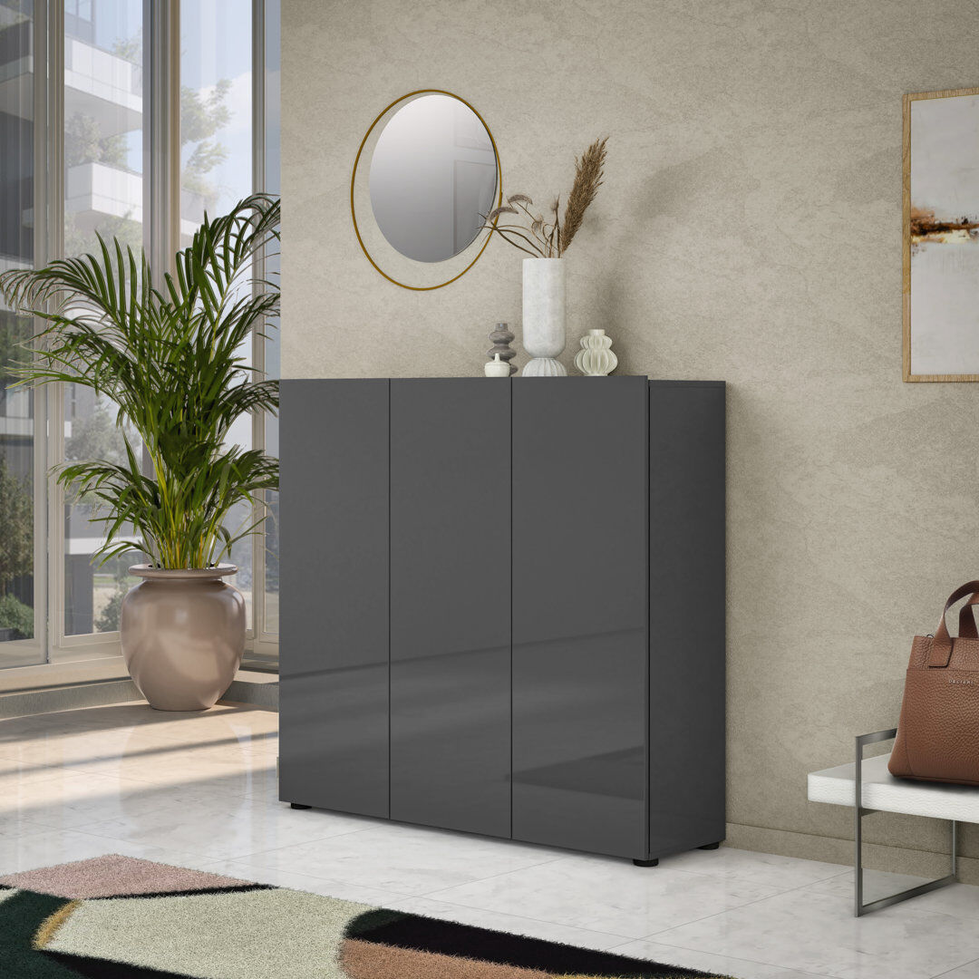 Brayden Studio Cania 30 Pair Shoe Storage Cabinet Anthracite Gloss 30