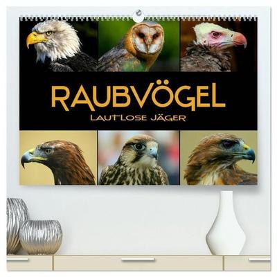 Raubvögel - lautlose Jäger (hochwertiger Premium Wandkalender 2027 DIN A2 quer), Kunstdruck in Hochglanz