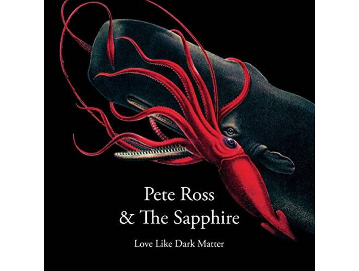 Love Like Dark Matter