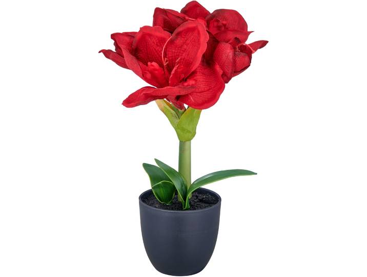 Kunstblume CREATIV GREEN Amaryllis , rot, H:35cm, Polyester, Kunstpflanzen, Kunstblume, mit traumhaft schöner Blüte
