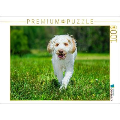 CALVENDO Puzzle Ein hübsches Mädchen | 1000 Teile Lege-Größe 64 × 48 cm Foto-Puzzle für glückliche Stunden