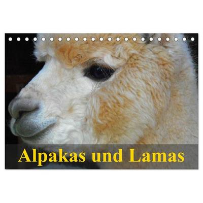 Alpakas und Lamas (Tischkalender 2026 DIN A5 quer), CALVENDO Monatskalender