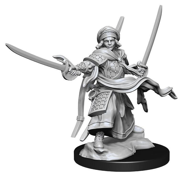 Wizkids Nolzur's Marvelous Miniatures Mannelijke Menselijke Ranger