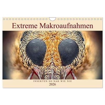 Extreme Makroaufnahmen - Insekten so nah wie nie (Wandkalender 2026 DIN A4 quer), CALVENDO Monatskalender