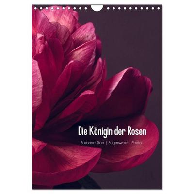 Die Königin der Rosen (Wandkalender 2027 DIN A4 hoch), CALVENDO Monatskalender